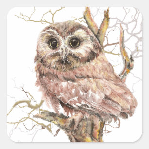 Pegatina Cuadrada Acuarela Cute Saw Lechuza Blanca, Pájaro