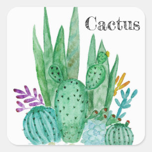 Pegatina Cuadrada Acuarela de cactus cactáceas flores floral desiert