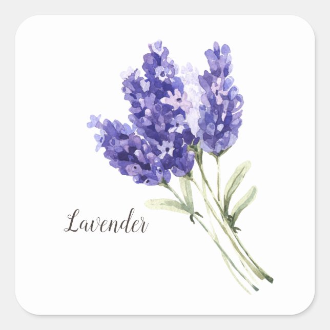 Pegatina Cuadrada Acuarela de flores de lavanda (Anverso)