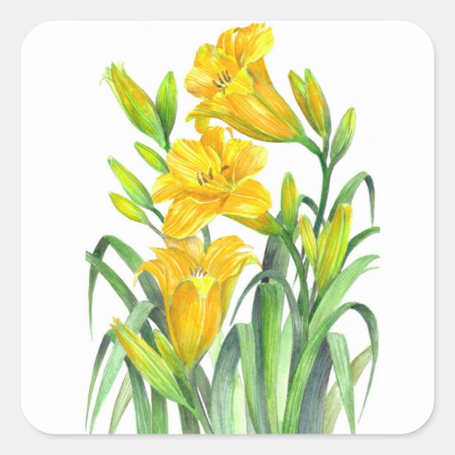 Pegatina Cuadrada Acuarela Día Amarillo Lilies Ilustracion Floral (Anverso)