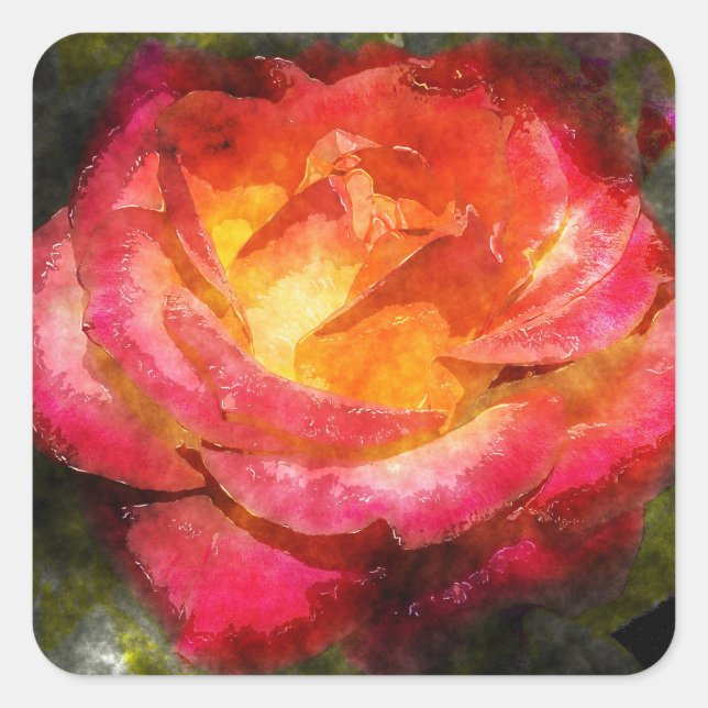 Pegatina Cuadrada Acuarela Rosa de inflamación (Anverso)