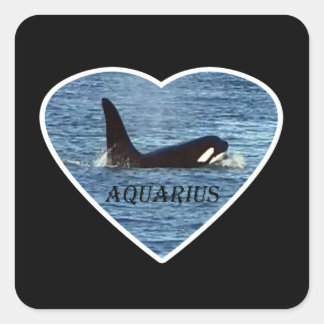 Pegatina Cuadrada Acuario Orca Ballena Personalizado Personalizable