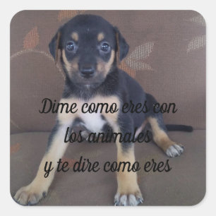 Pegatina Cuadrada Adesivo Dime como eres con los animales