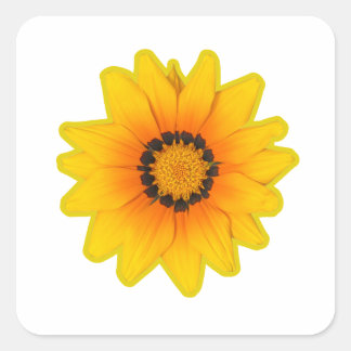 Pegatina Cuadrada Adesivo flor Amarela Gazânia