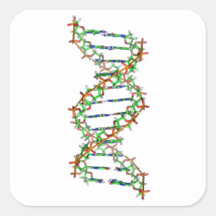 Pegatina Cuadrada ADN - ciencia/ciencia/biología