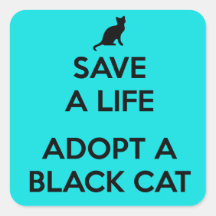 Adoptar un gato negro