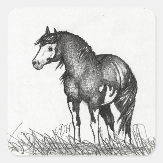 Pegatina Cuadrada Adorable Paint Horse Pegatinas (Anverso)