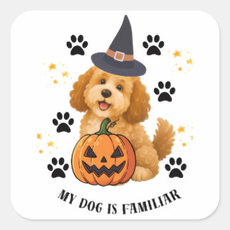 Pegatina Cuadrada Adorable Poodle Bruja de Halloween con Calabaza