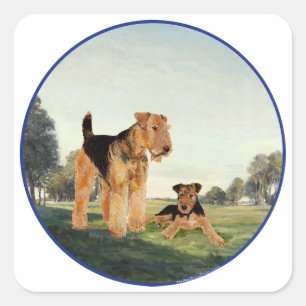 Pegatina Cuadrada Adultos y adultos