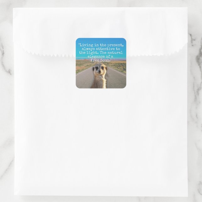 Pegatina Cuadrada Adventurous Meerkat Living (Bolso)