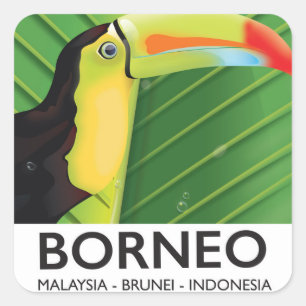 Pegatina Cuadrada Afiche de viaje de Borneo Toucan