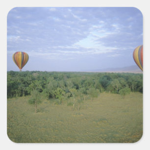 Pegatina Cuadrada África, Kenia, Reserva Nacional Masai Mara, 2