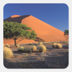 Pegatina Cuadrada África, Namibia, Namib-Naukluff Park, Sossosvlei
