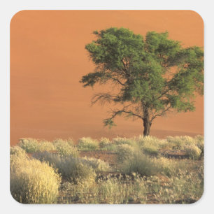 Pegatina Cuadrada África, Namibia, Parque Nacional Namib, Sossusvlei
