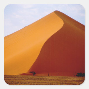 Pegatina Cuadrada África, Namibia, Parque Nacional Naukluft, 2