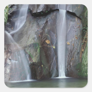 Pegatina Cuadrada África, Uganda, selva impenetrable de Bwindi,