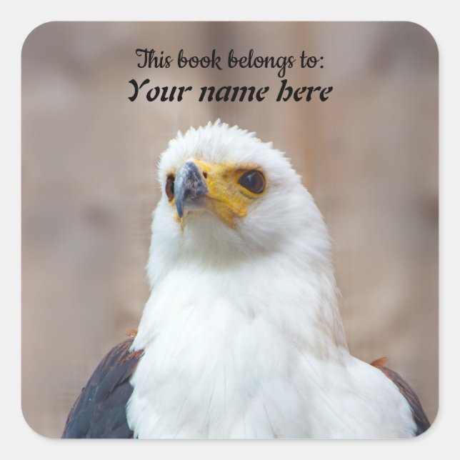 Pegatina Cuadrada African Fish Eagle Sticker (Anverso)