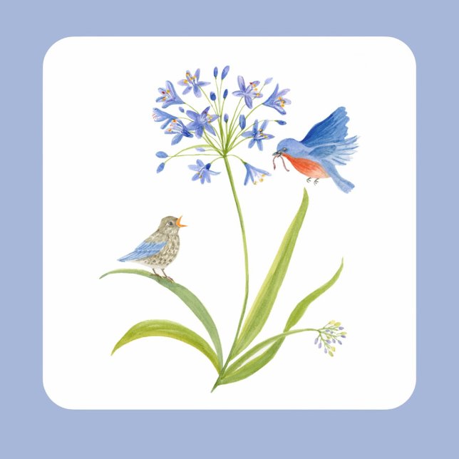 Pegatina Cuadrada African Lily with Bluebird Mother and Baby (Subido por el creador)
