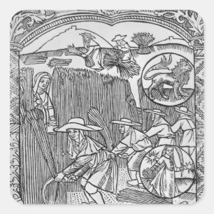 Pegatina Cuadrada Agosto, cosecha, Leo