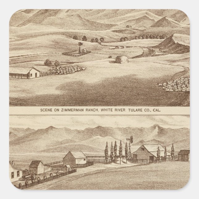 Pegatina Cuadrada Agua blanca, ranchos de Saucelito (Anverso)