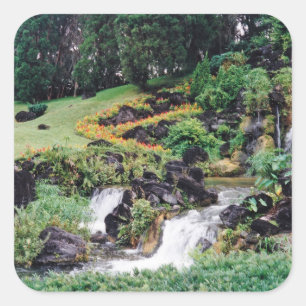 Pegatina Cuadrada Agua curativa