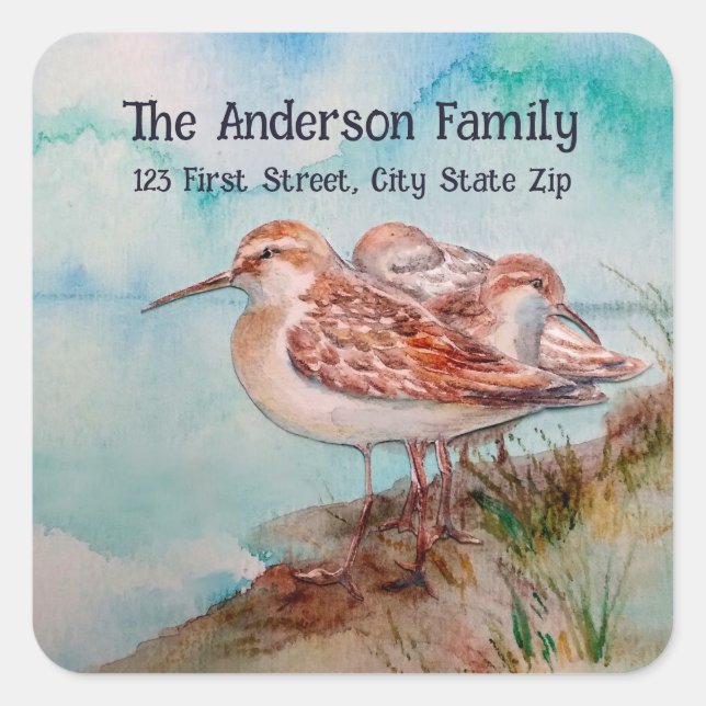 Pegatina Cuadrada Agua Sandpiper Agua Bird Naturaleza Art (Anverso)