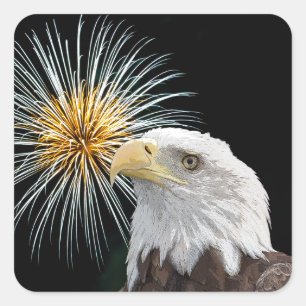 Pegatina Cuadrada Águila calva y fuegos artificiales