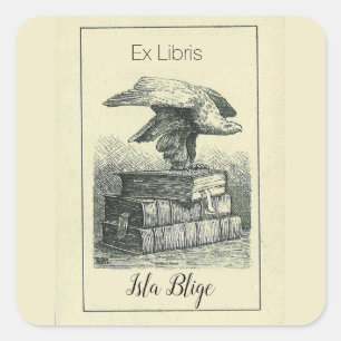 Pegatina Cuadrada Águila editable en la libreta de libros