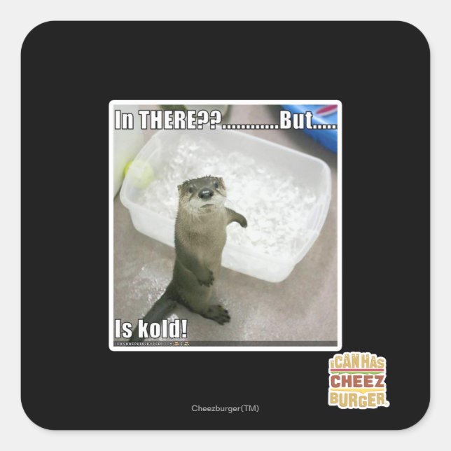 Pegatina Cuadrada ¿Ahí? ¡Es Kold! (Anverso)