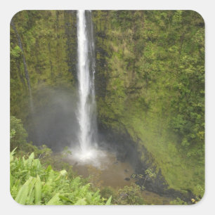 Pegatina Cuadrada Akaka Falls, Costa de Hamakua, Isla de Hawaii,