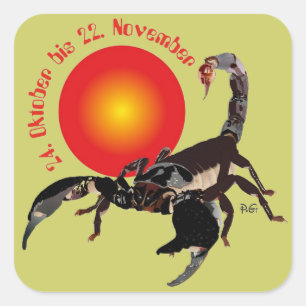 Pegatina Cuadrada Alacrán el 24. octubre hasta el 22. noviembre