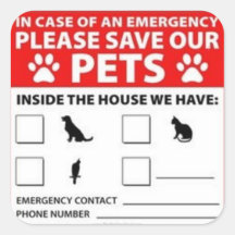 Alarma del interior del mascota