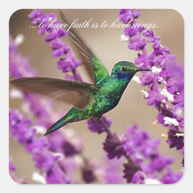 Pegatina Cuadrada Alas de Faith Sparkling Violet ears Hummingbird (Anverso)