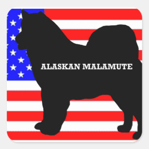 Pegatina Cuadrada alaskan malamute nombre silo en la bandera