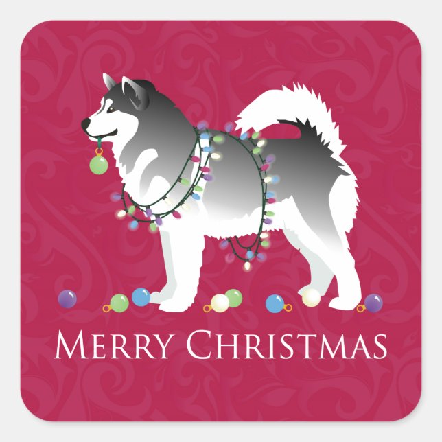 Pegatina Cuadrada Alaskan Malamute Perro Feliz Diseño de Navidad (Anverso)