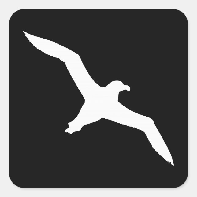 Pegatina Cuadrada Albatros blanco (Anverso)