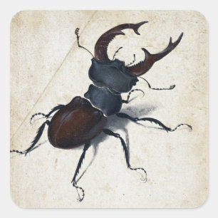 Pegatina Cuadrada Albrecht Dürer Stag Beetle