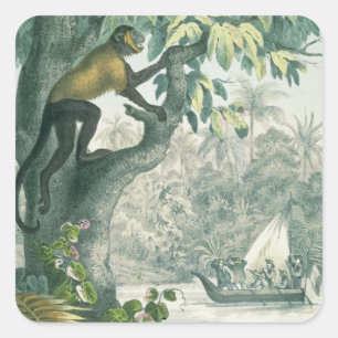 Pegatina Cuadrada Alcance superior de la Amazonía, de 'Das Buch der 