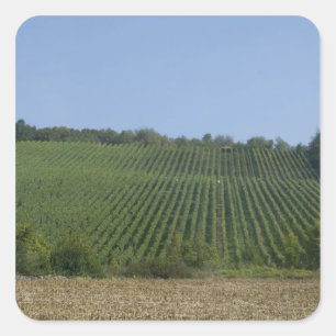 Pegatina Cuadrada Alemania, Franconia, Rothenburg. Ver a lo largo de