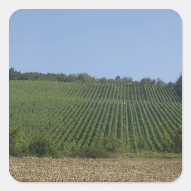 Pegatina Cuadrada Alemania, Franconia, Rothenburg. Ver a lo largo de (Anverso)