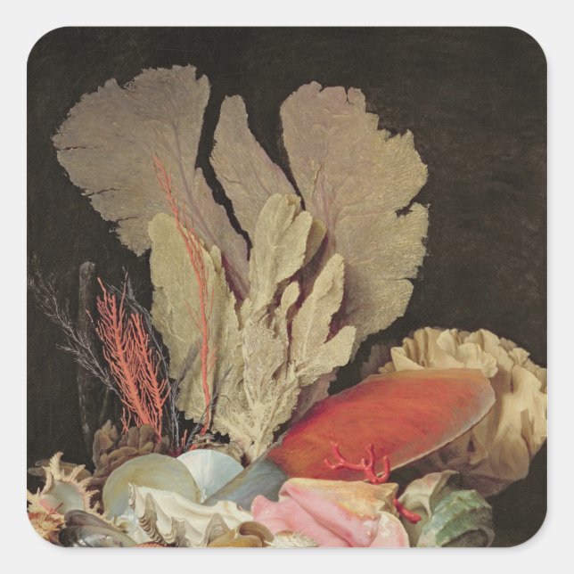 Pegatina Cuadrada Algas marinas, litófitos y conchas marinas (Anverso)