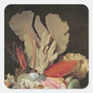 Pegatina Cuadrada Algas marinas, litófitos y conchas marinas