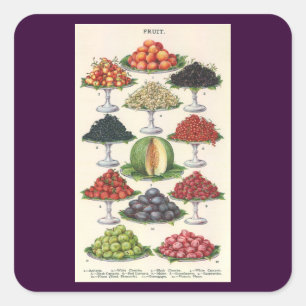 Pegatina Cuadrada Alimentos Vintage Frutas Variadas en Bandejas para