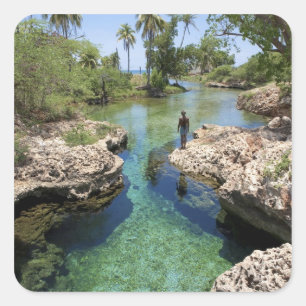 Pegatina Cuadrada Alligator Hole, Black River Town, Jamaica