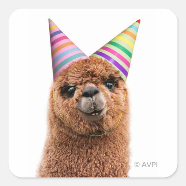 Pegatina Cuadrada Alpaca con Gorras Fiestas (Anverso)