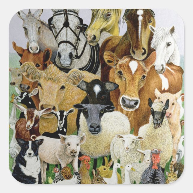 Pegatina Cuadrada Alteraciones animales (Anverso)