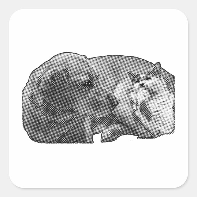 Pegatina Cuadrada Alto al fuego de bolsillo (Anverso)