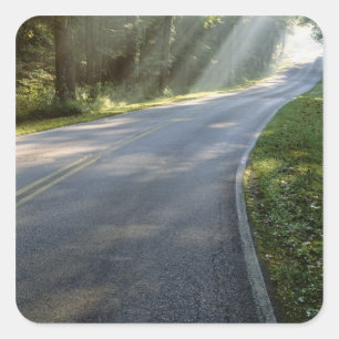 Pegatina Cuadrada Amanecer a través de la niebla junto al río Verd