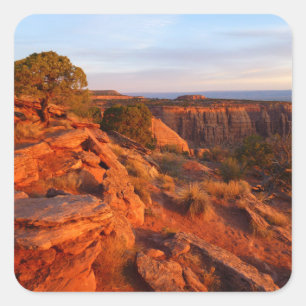 Pegatina Cuadrada Amanecer en el sendero Grand View en el Monumento 