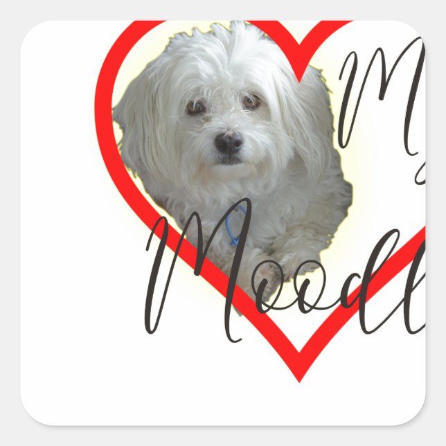 Pegatina Cuadrada Amar a mi Moodle (Anverso)